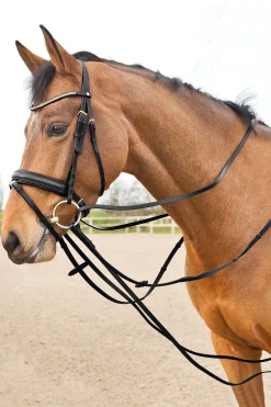 Clearance Sparta glidetøyler i lær Hjelpetøyler Og Longeringssystemer|Hjelpetøyler Og Longeringssystemer