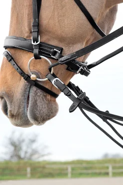 Outlet Sparta glidetøyler i nylon/lær Hjelpetøyler Og Longeringssystemer|Hjelpetøyler Og Longeringssystemer