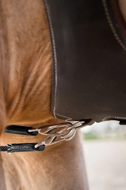 Outlet Sparta glidetøyler i nylon/lær Hjelpetøyler Og Longeringssystemer|Hjelpetøyler Og Longeringssystemer