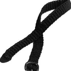 New sporereimer Sporereimer|Sporer