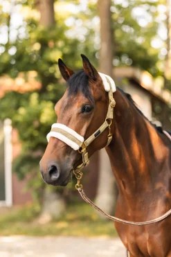 Discount St. Moritz grime Grimer