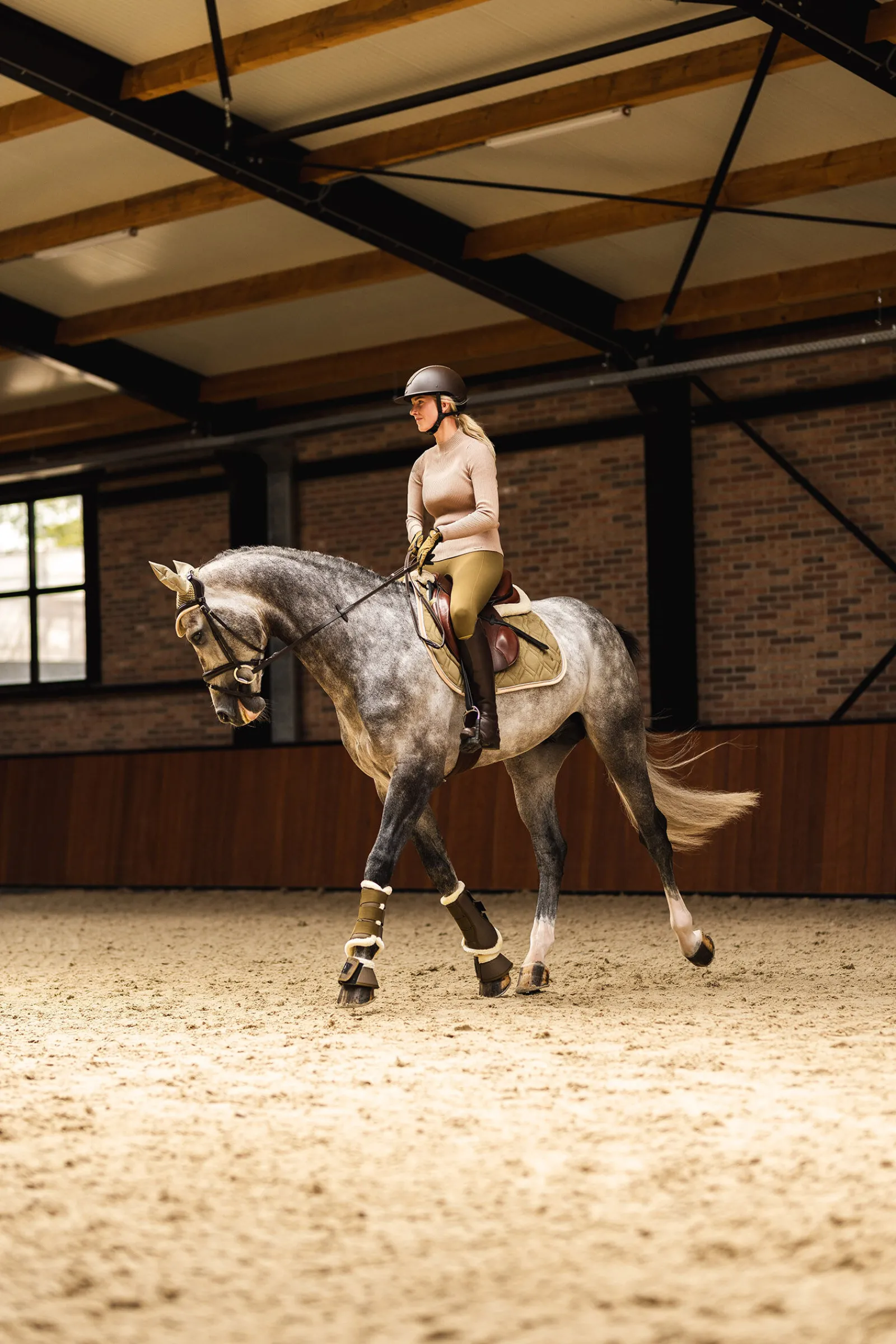 Best St. Moritz sprangsjabrak Ponni Sjabrak|Allround- Og Sprangsjabraker