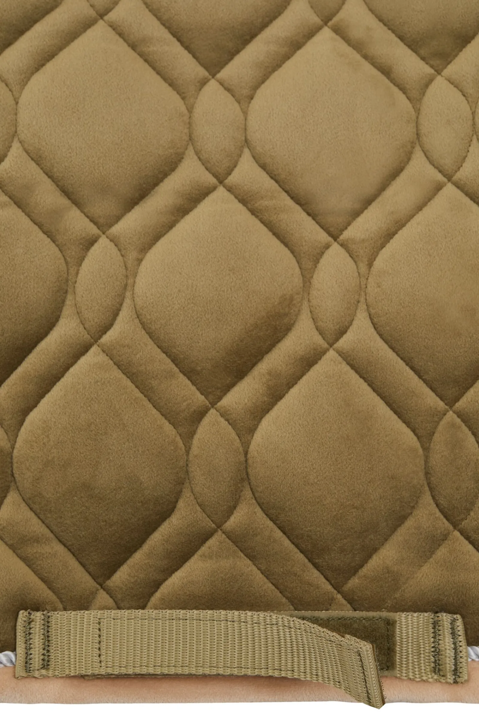 St. Mortiz dressursjabrak Dressursjabraker