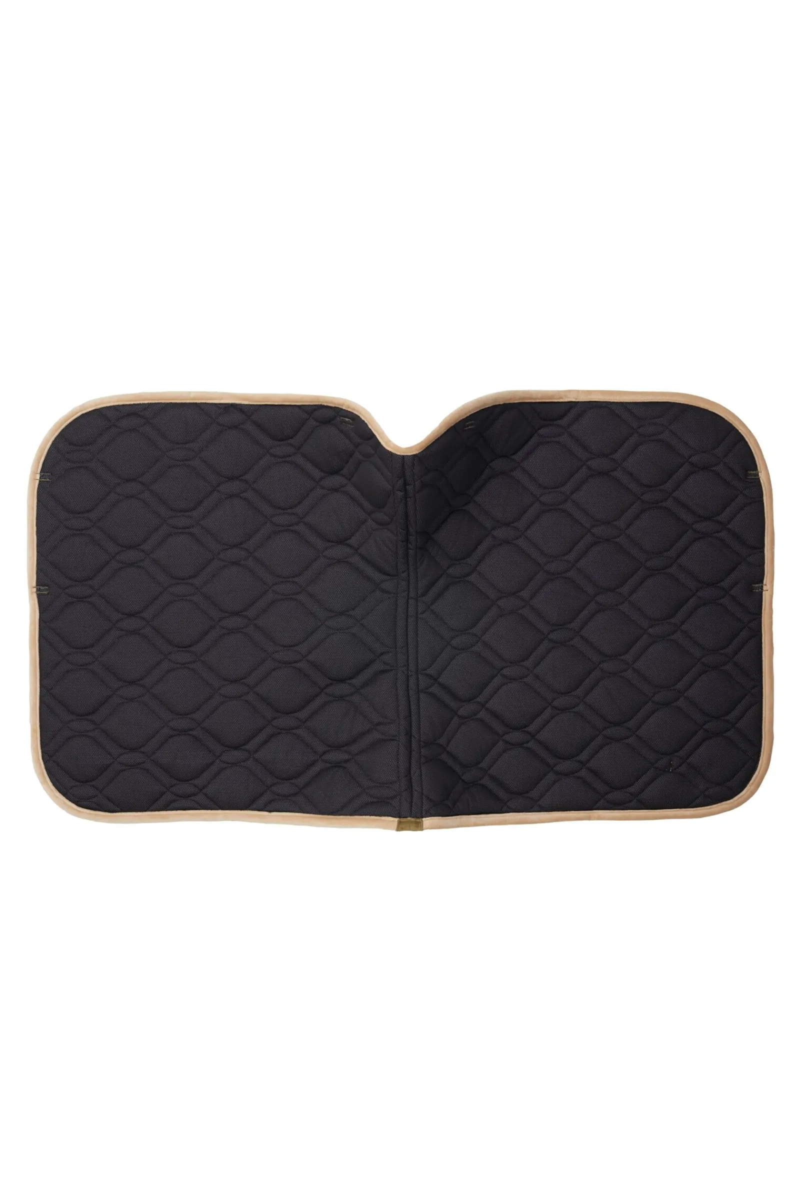 St. Mortiz dressursjabrak Dressursjabraker