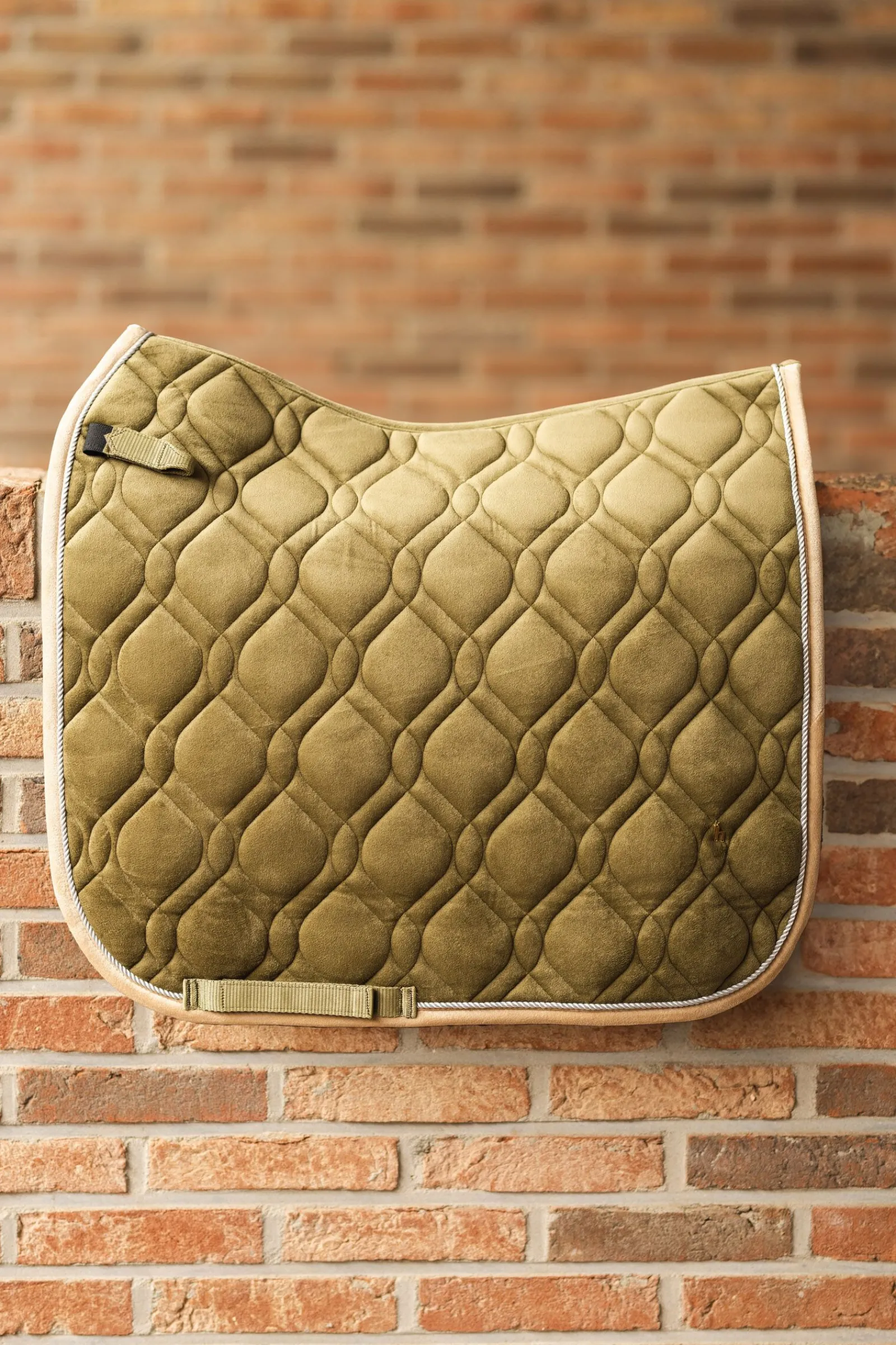 St. Mortiz dressursjabrak Dressursjabraker