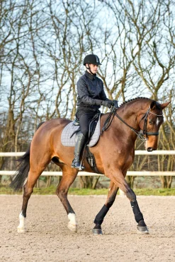 Best stryksokker Belegg Til Hest