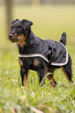 Clearance Sudbury 2-i-1 hundedekken, 0 og 100 gram Hundeklær Og Hundedekken