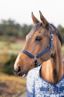 Urban Vitality grime Grimer