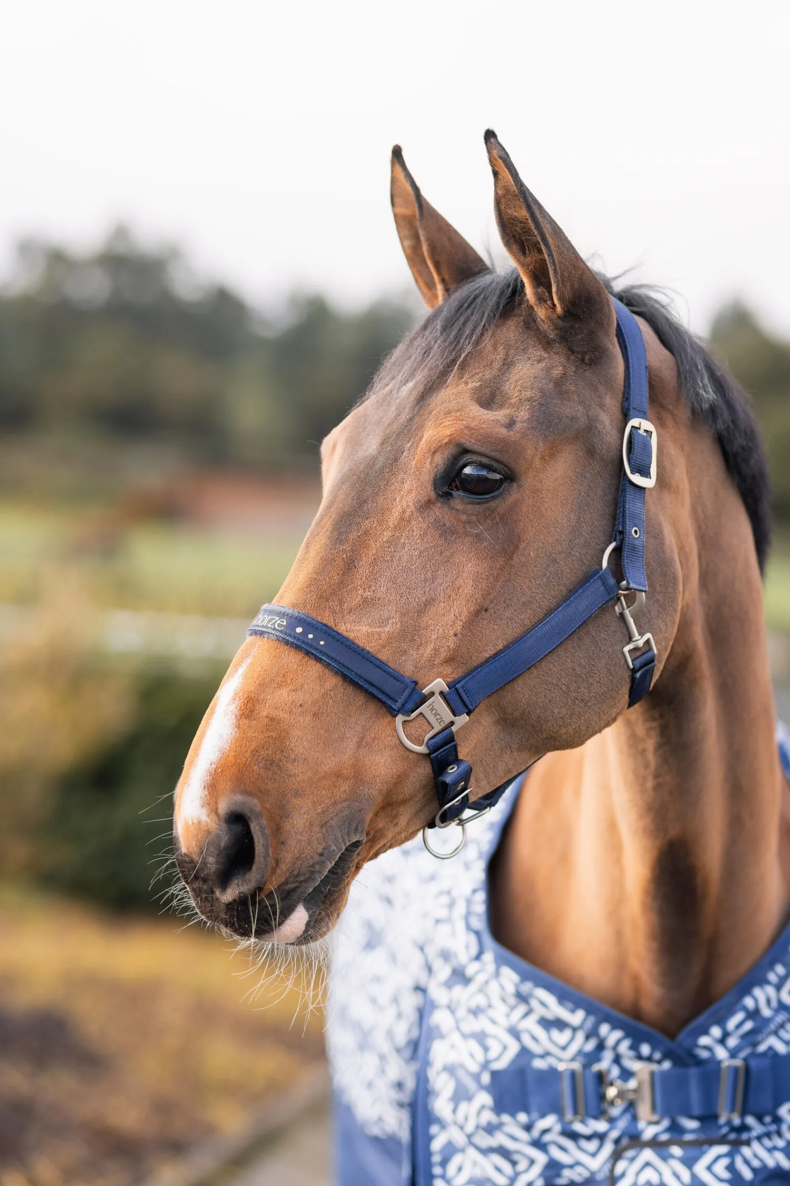 Urban Vitality grime Grimer