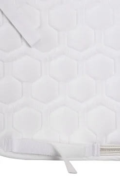 Urban Vitality sprangsjabrak til stevne Ponni Sjabrak|Allround- Og Sprangsjabraker