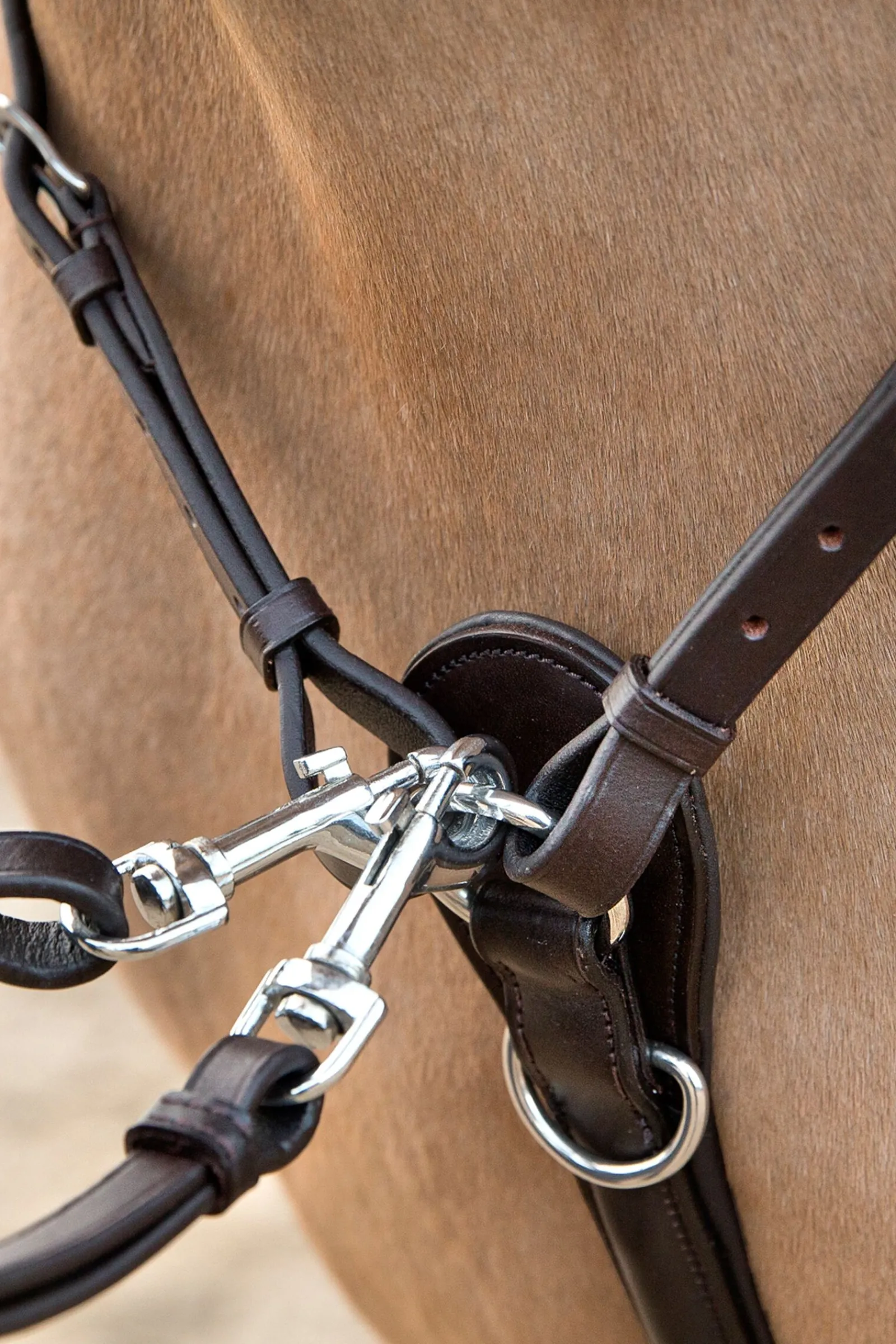 Discount Venice kombinert martingal Hjelpetøyler Og Longeringssystemer|Hjelpetøyler Og Longeringssystemer