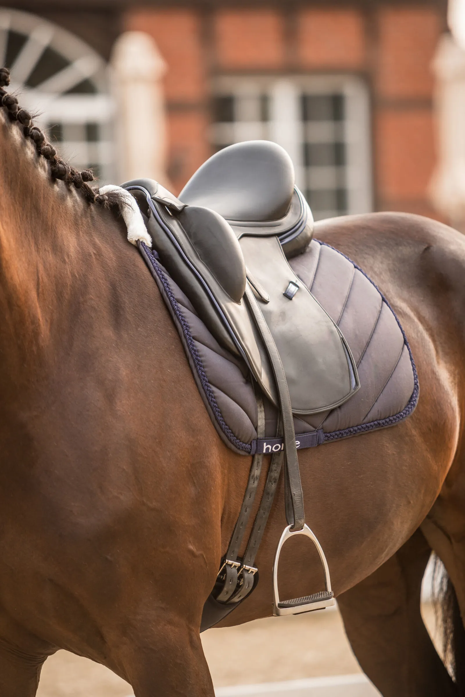 Outlet Victoria dressursjabrak Dressursjabraker