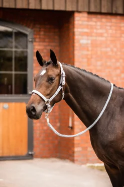 Outlet Victoria grime Grimer