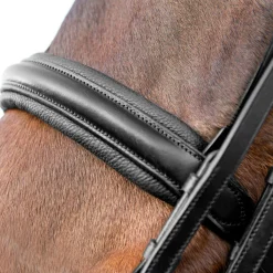 Online Vienna anatomisk kandarhodelag Hodelag & Nesereimer