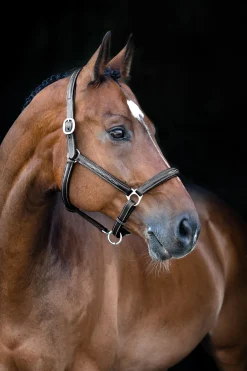 Discount Warren myk lærgrime Lærgrimer