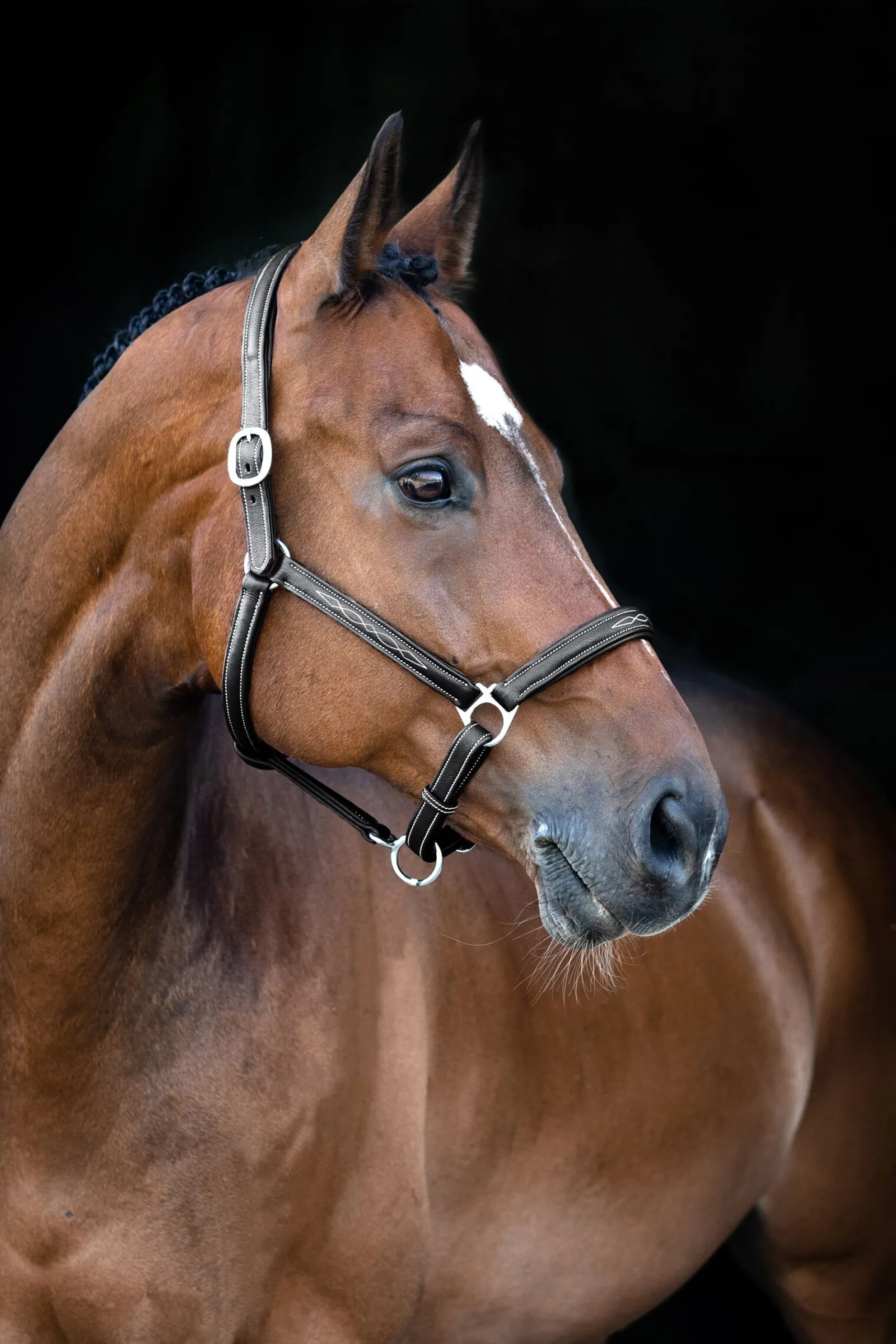 Discount Warren myk lærgrime Lærgrimer