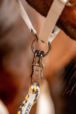 Hot Wicklow leietau med panikkrok Leietau