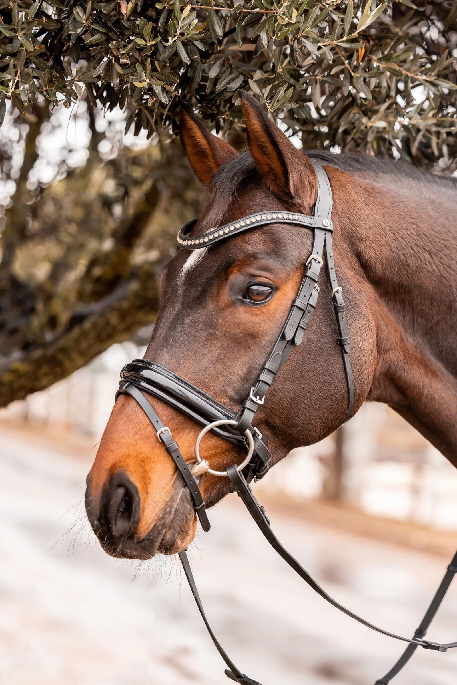 Discount Wicklow pannebånd Pannereim
