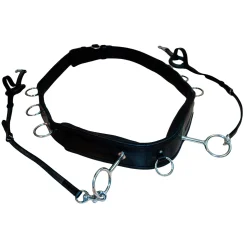 Discount Longeringsgjord Longeringsliner Og Doble Longeringsliner|Longeringsliner Og Doble Longeringsliner