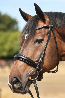 Ayana KavalSH4 Bridle Ponni Hodelag Og Grimer|Hodelag & Nesereimer