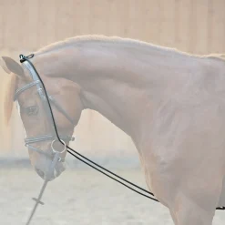 Hot Bungie, elastisk Longeringsliner Og Doble Longeringsliner|Longeringsliner Og Doble Longeringsliner