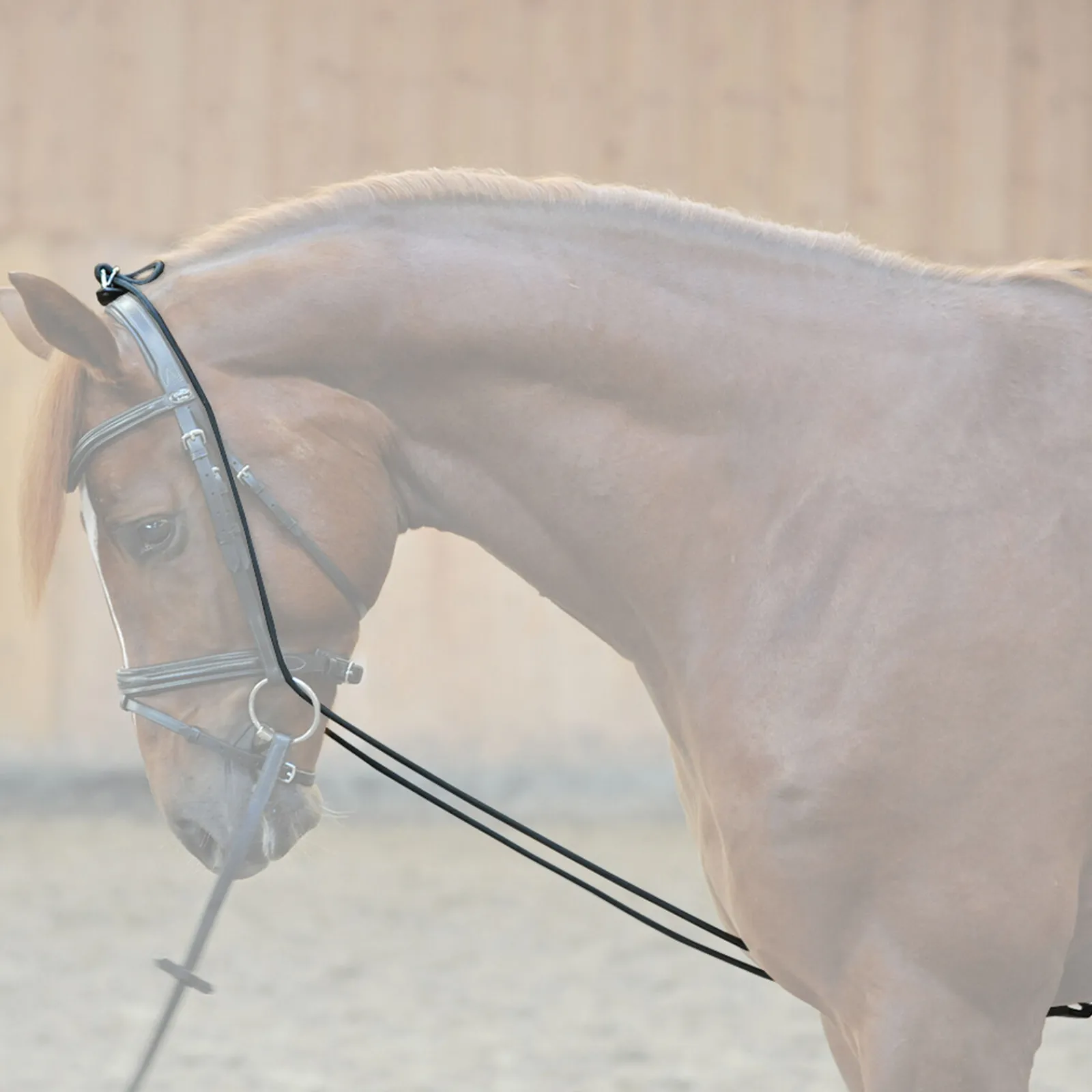 Hot Bungie, elastisk Longeringsliner Og Doble Longeringsliner|Longeringsliner Og Doble Longeringsliner