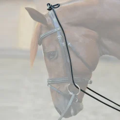 Hot Bungie, elastisk Longeringsliner Og Doble Longeringsliner|Longeringsliner Og Doble Longeringsliner