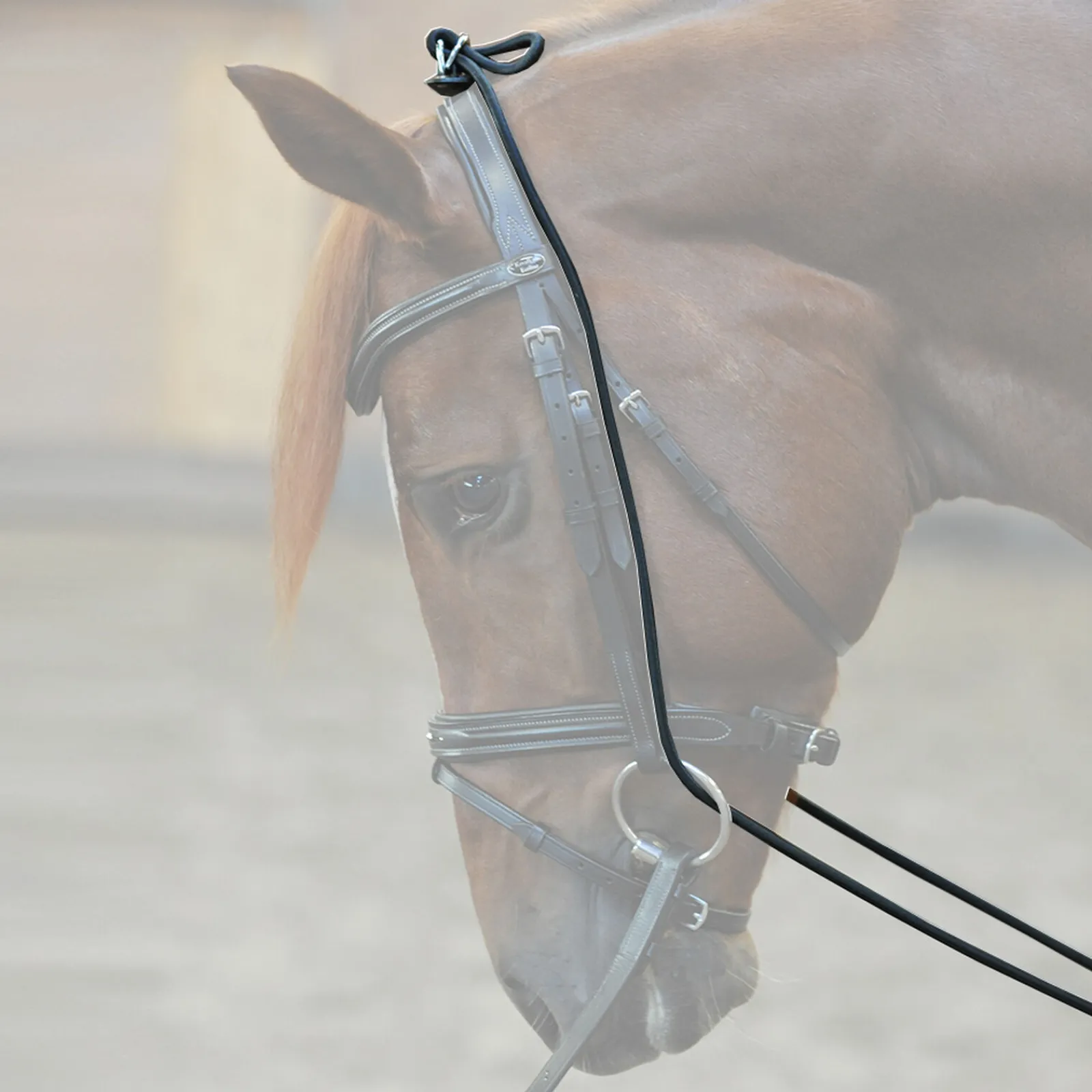 Hot Bungie, elastisk Longeringsliner Og Doble Longeringsliner|Longeringsliner Og Doble Longeringsliner