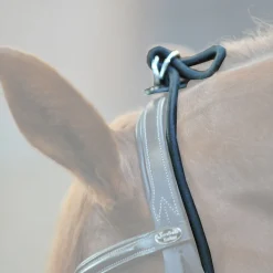 Hot Bungie, elastisk Longeringsliner Og Doble Longeringsliner|Longeringsliner Og Doble Longeringsliner