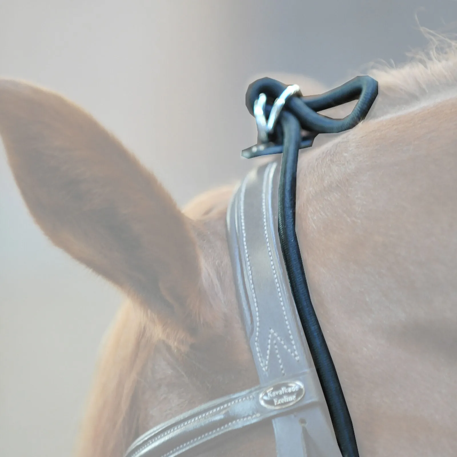 Hot Bungie, elastisk Longeringsliner Og Doble Longeringsliner|Longeringsliner Og Doble Longeringsliner