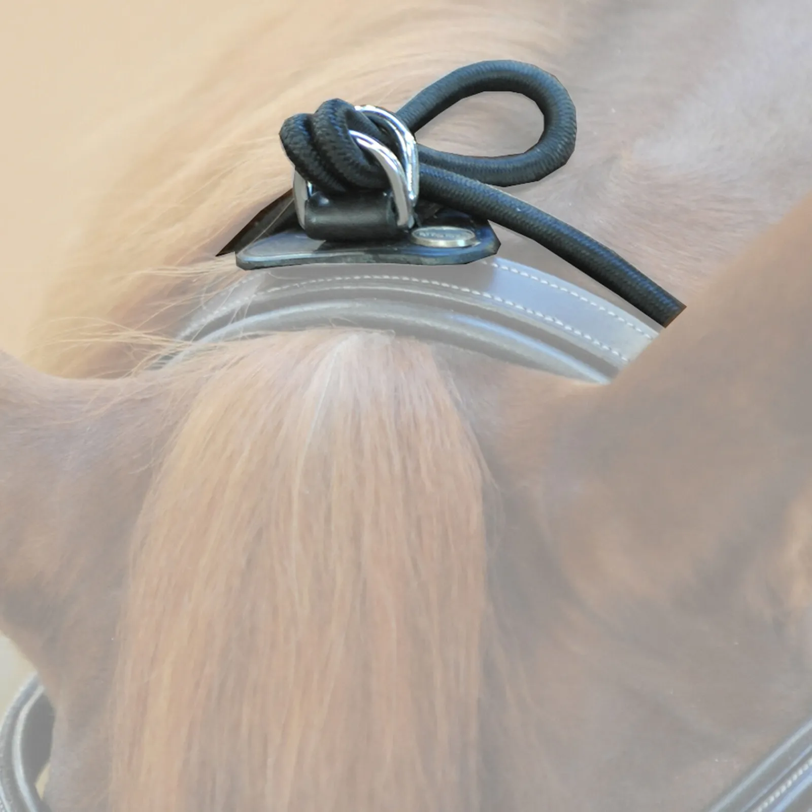 Hot Bungie, elastisk Longeringsliner Og Doble Longeringsliner|Longeringsliner Og Doble Longeringsliner