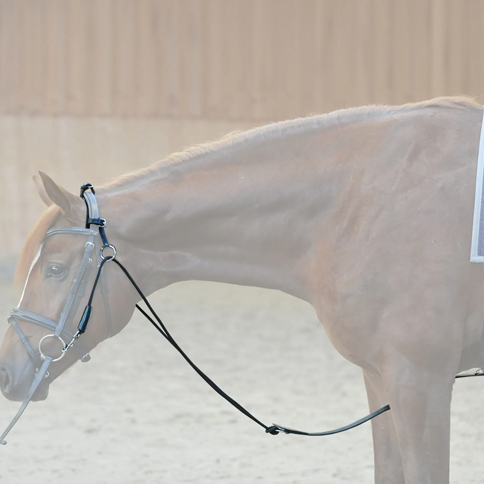 Discount chambon Longeringsliner Og Doble Longeringsliner|Longeringsliner Og Doble Longeringsliner