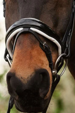 Discount Charlotte dressurhodelag med pullback nesereim Ponni Hodelag Og Grimer|Hodelag & Nesereimer