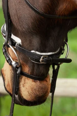 Discount Charlotte dressurhodelag med pullback nesereim Ponni Hodelag Og Grimer|Hodelag & Nesereimer