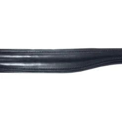 Charlotte nesereim, svensk kombi Hodelag & Nesereimer