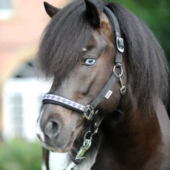 Online Classic grime til islandshest Grimer