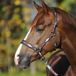 Discount Classic Raute grime Grimer