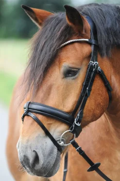 Best Clinchesse Bridle Ponni Hodelag Og Grimer|Hodelag & Nesereimer