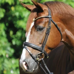 Clinchesse Bridle Ponni Hodelag Og Grimer|Hodelag & Nesereimer