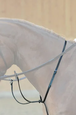 Discount Ecoline martingal med stoppere Hjelpetøyler Og Longeringssystemer|Hjelpetøyler Og Longeringssystemer