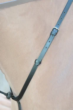 Discount Ecoline martingal med stoppere Hjelpetøyler Og Longeringssystemer|Hjelpetøyler Og Longeringssystemer