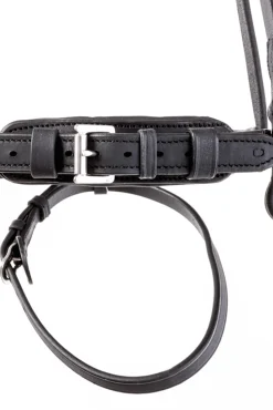 Outlet Everness Bridle Ponni Hodelag Og Grimer|Hodelag & Nesereimer