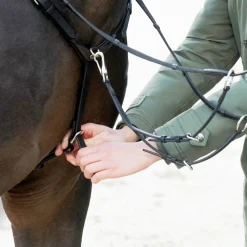 Online EveryDay fortøy Hjelpetøyler Og Longeringssystemer|Hjelpetøyler Og Longeringssystemer