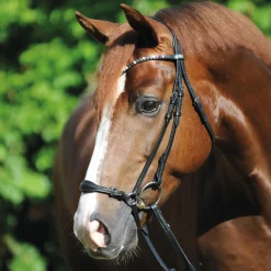 Clearance Fiala Bridle Ponni Hodelag Og Grimer|Hodelag & Nesereimer