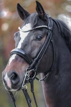 New Fleur Double Bridle Hodelag & Nesereimer