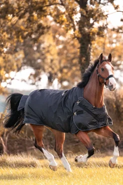 New Halifax 2-i-1 Utedekken og Walker-dekken 200g Overgangsdekken & Vinterdekken