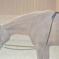 Online HO longesystem Longeringsliner Og Doble Longeringsliner|Longeringsliner Og Doble Longeringsliner