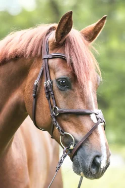 New hodelag Everado med meksikansk nesereim Hodelag & Nesereimer