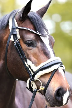 Hot Joyce KavalSH4 Bridle Ponni Hodelag Og Grimer|Hodelag & Nesereimer