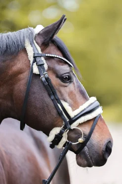 Hot Joyce KavalSH4 Bridle Ponni Hodelag Og Grimer|Hodelag & Nesereimer